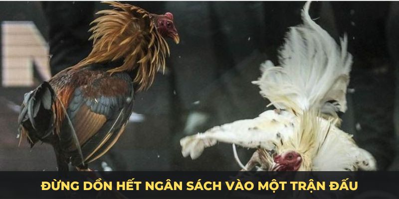 Đừng dồn hết ngân sách vào một trận đấu