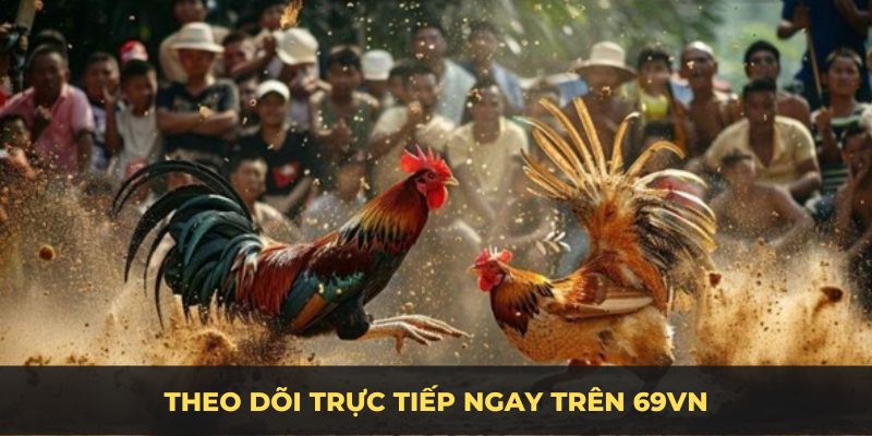 Theo dõi trực tiếp ngay trên 69VN